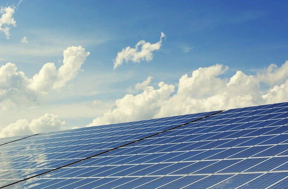 5. Drive Sustainable Development